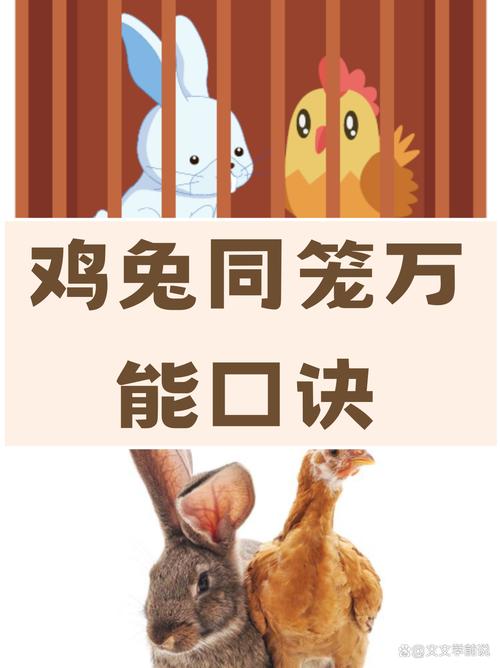 包含细羊捉玄机可以理解为兔吗的词条