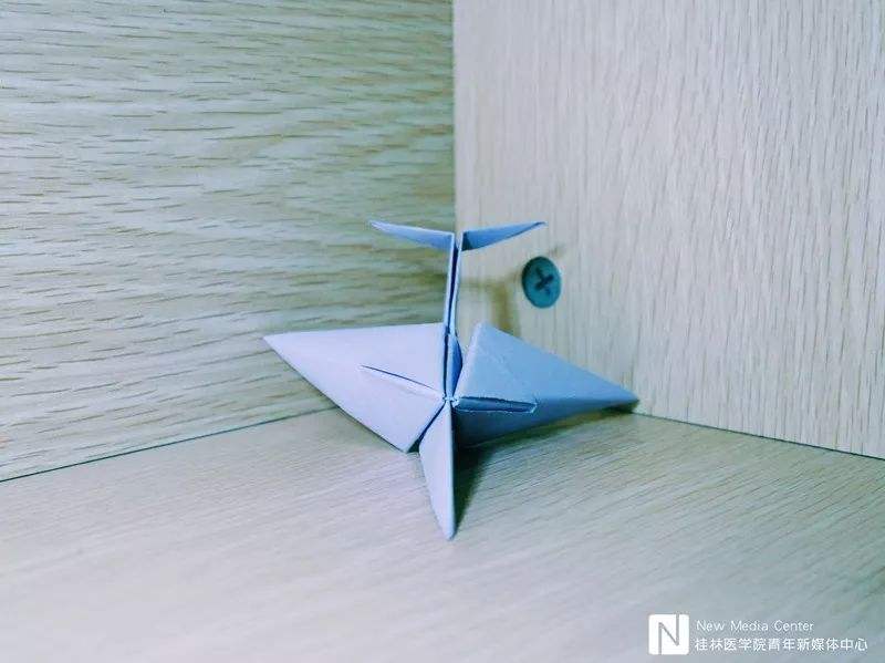 [纸飞机怎么卸载]纸飞机怎么卸载不掉