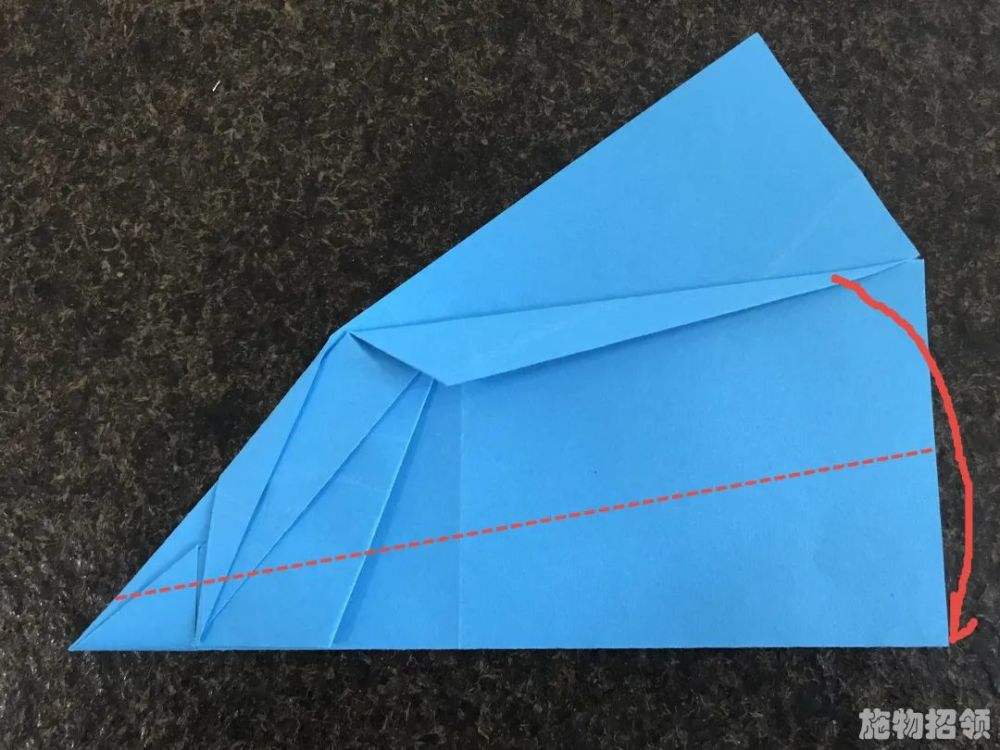 [纸飞机地址怎么设置]纸飞机在哪里设置中文