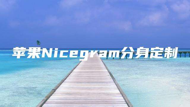 Eicegram中文版下载苹果的简单介绍