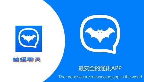 [蝙蝠聊天软件]蝙蝠聊天软件是一款什么软件