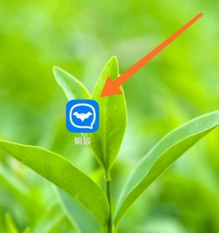 包含蝙蝠app中国警方能介入吗的词条