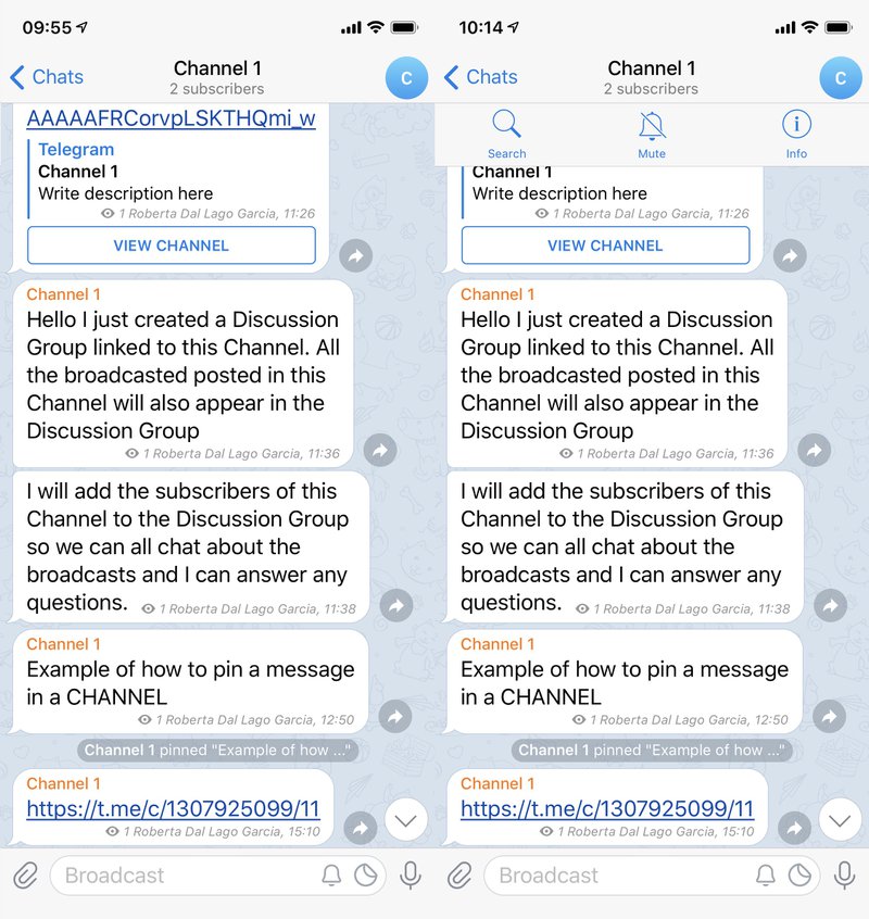 包含telegeram参数到哪里获取的词条