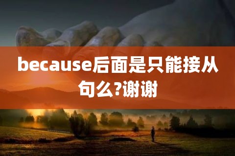 [because什么意思中文]because什么意思中文怎么读