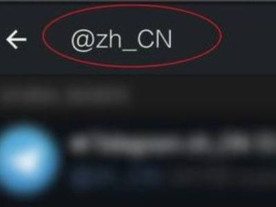 [纸飞机怎么设置中文]纸飞机怎么设置中文版教程视频