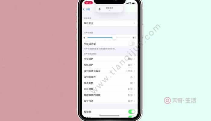 [苹果怎么调中文版]苹果手机怎么调成中文版本