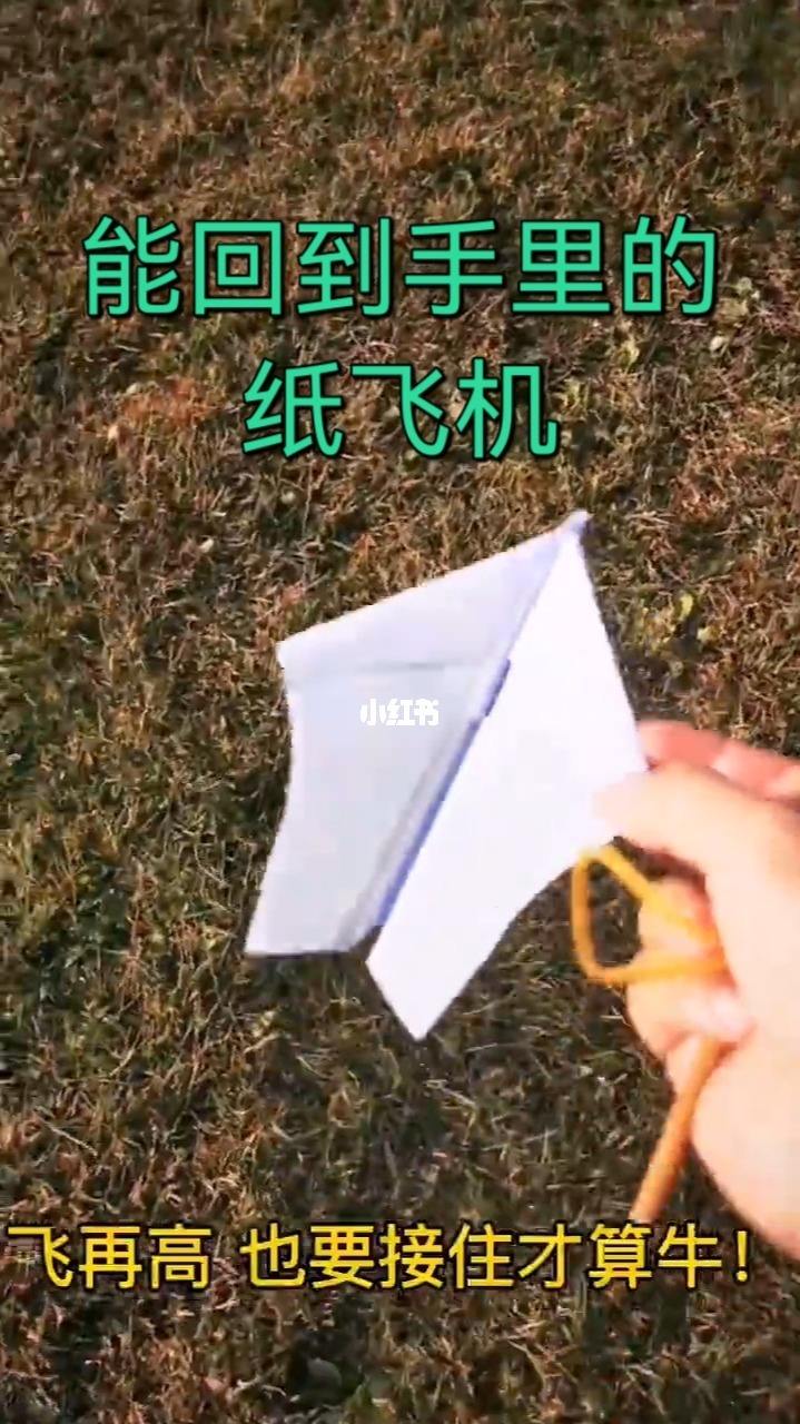 关于纸飞机怎么设置中文版教程图片的信息