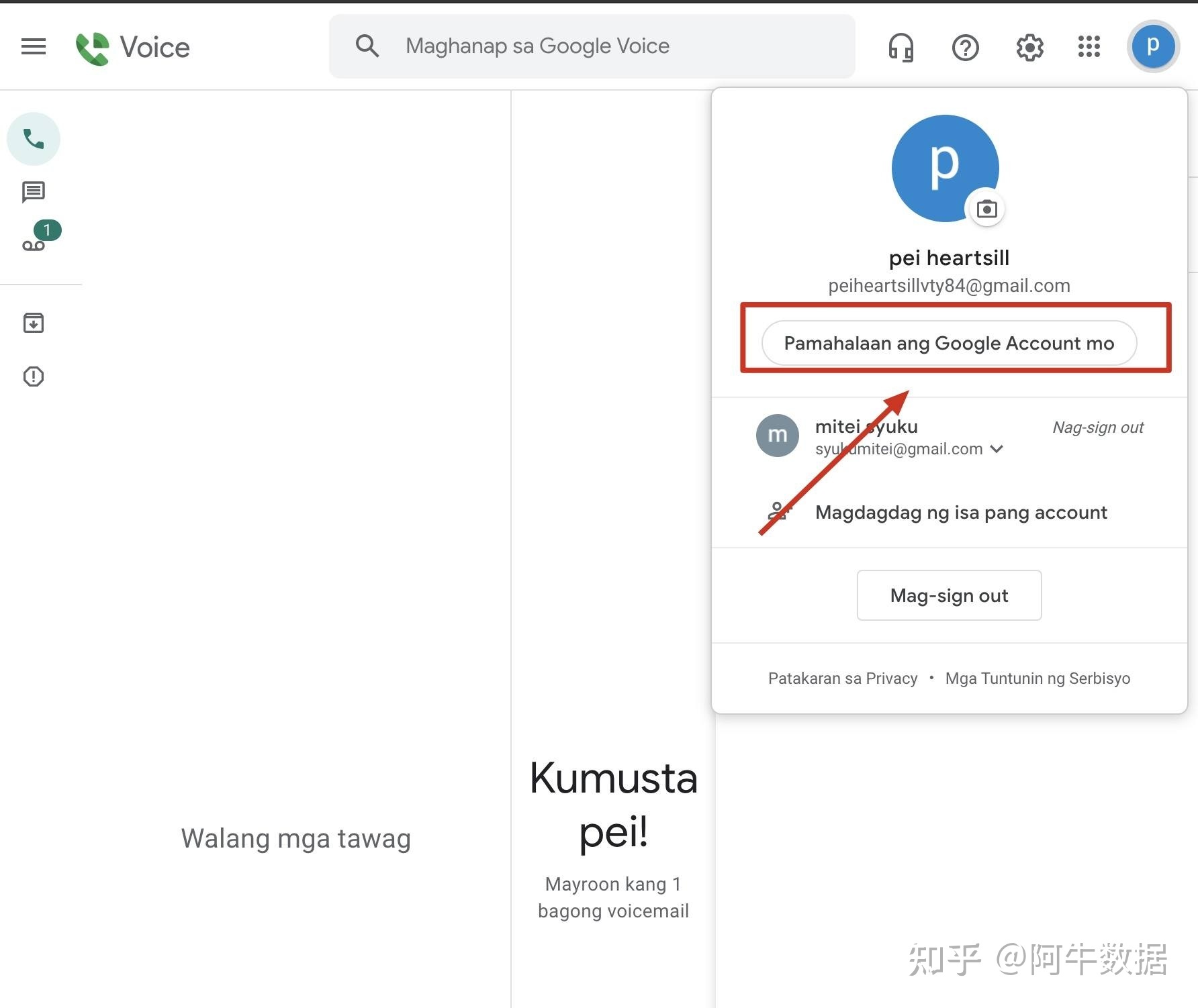 googlevoice购买-google voice如何缴费