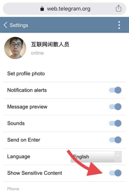 [telegeram登录方法]telegram怎么登录进去