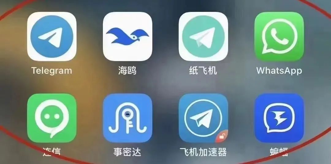 纸飞机app下载官网苹果-纸飞机app下载中文版苹果