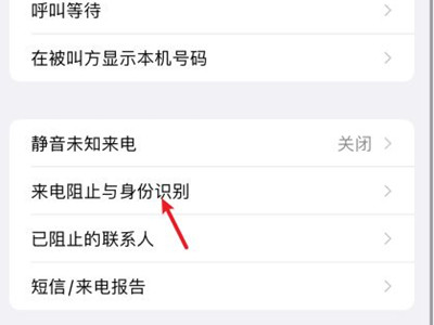 苹果如何设置中文-苹果如何设置中文字幕模式