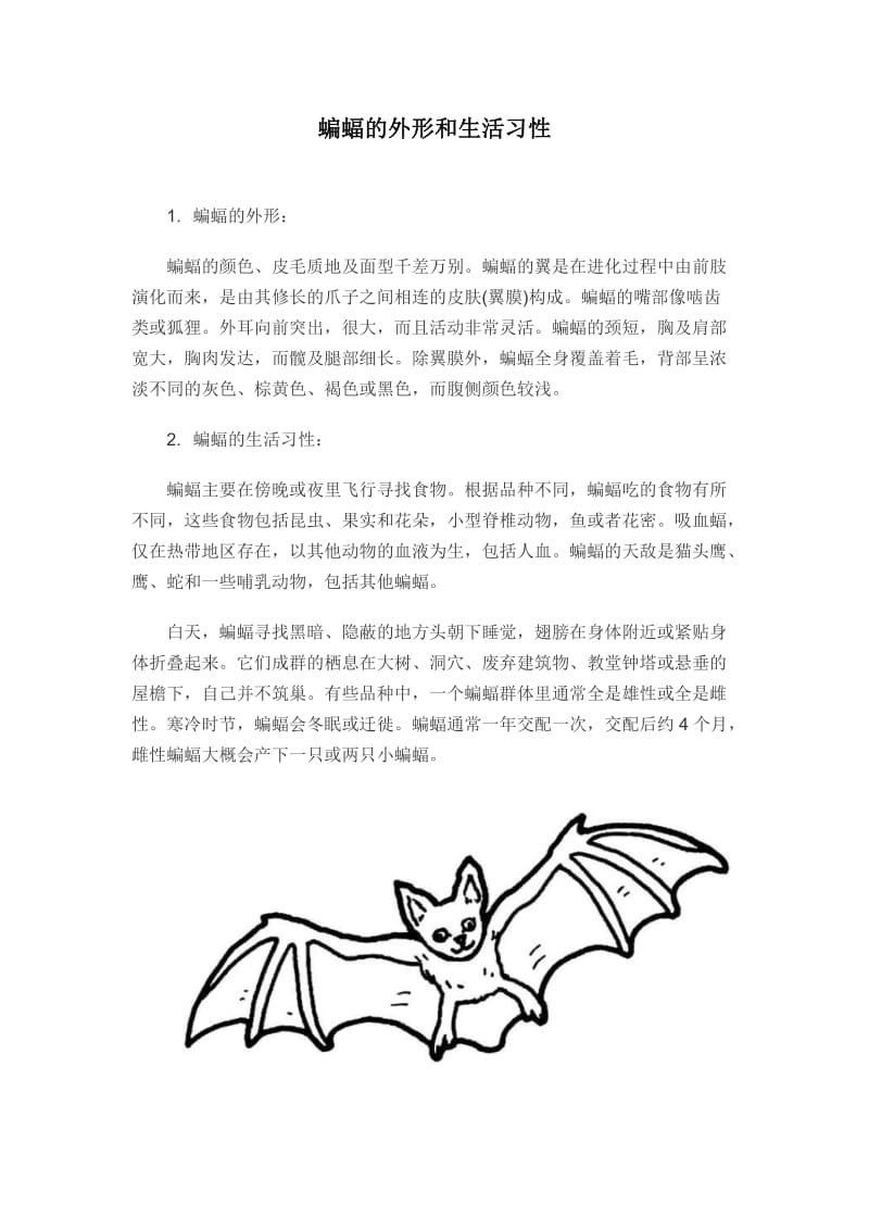 蝙蝠下载2.5.1-蝙蝠下载app苹果版