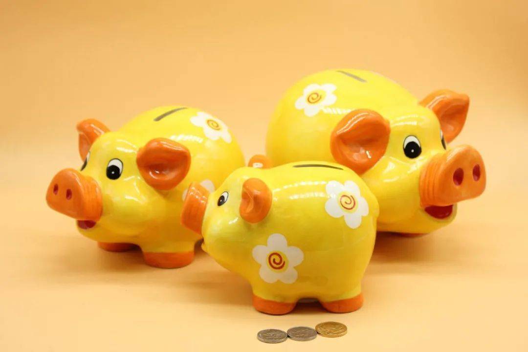 pocketmoney翻译_pocket money翻译成中文