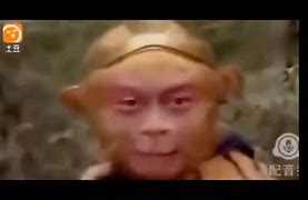 电报猴动态表情包_电报猴原视频无挡