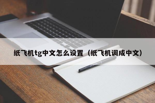 ios纸飞机中文语言包_纸飞机苹果手机版的怎么转换成中文