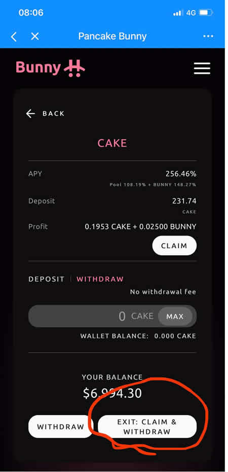 token钱包官网下载_gopay钱包app下载官网