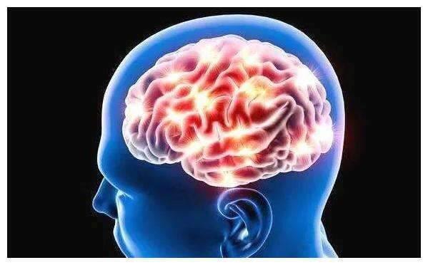 电报性语言是小脑的简单介绍