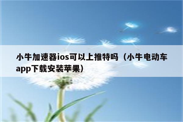 小牛加速器_小牛加速器官方正版 小牛加速器_小牛加速器官方正版