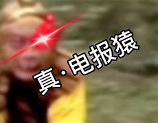 花果山电报员原声_花果山电报员搞笑视频