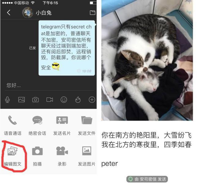 telegraph汉化_tabtab官方下载入口