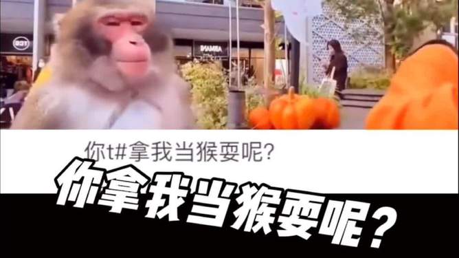 电报猴的完整录音_电报猴的完整录音无消音翻译
