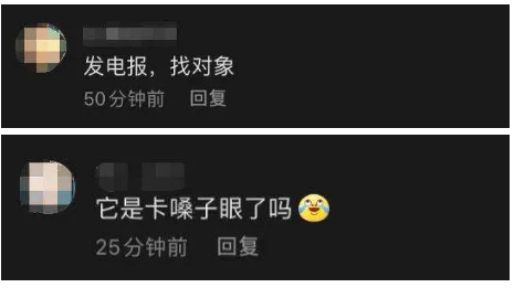 孙悟空发电报原视频_孙悟空发电报原视频无消音