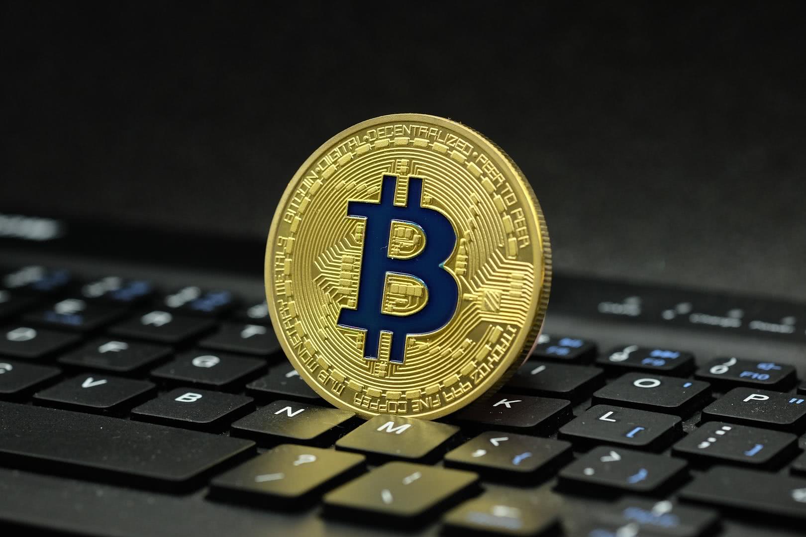 数字货币的币种有哪些_数字货币的币种有哪些种类
