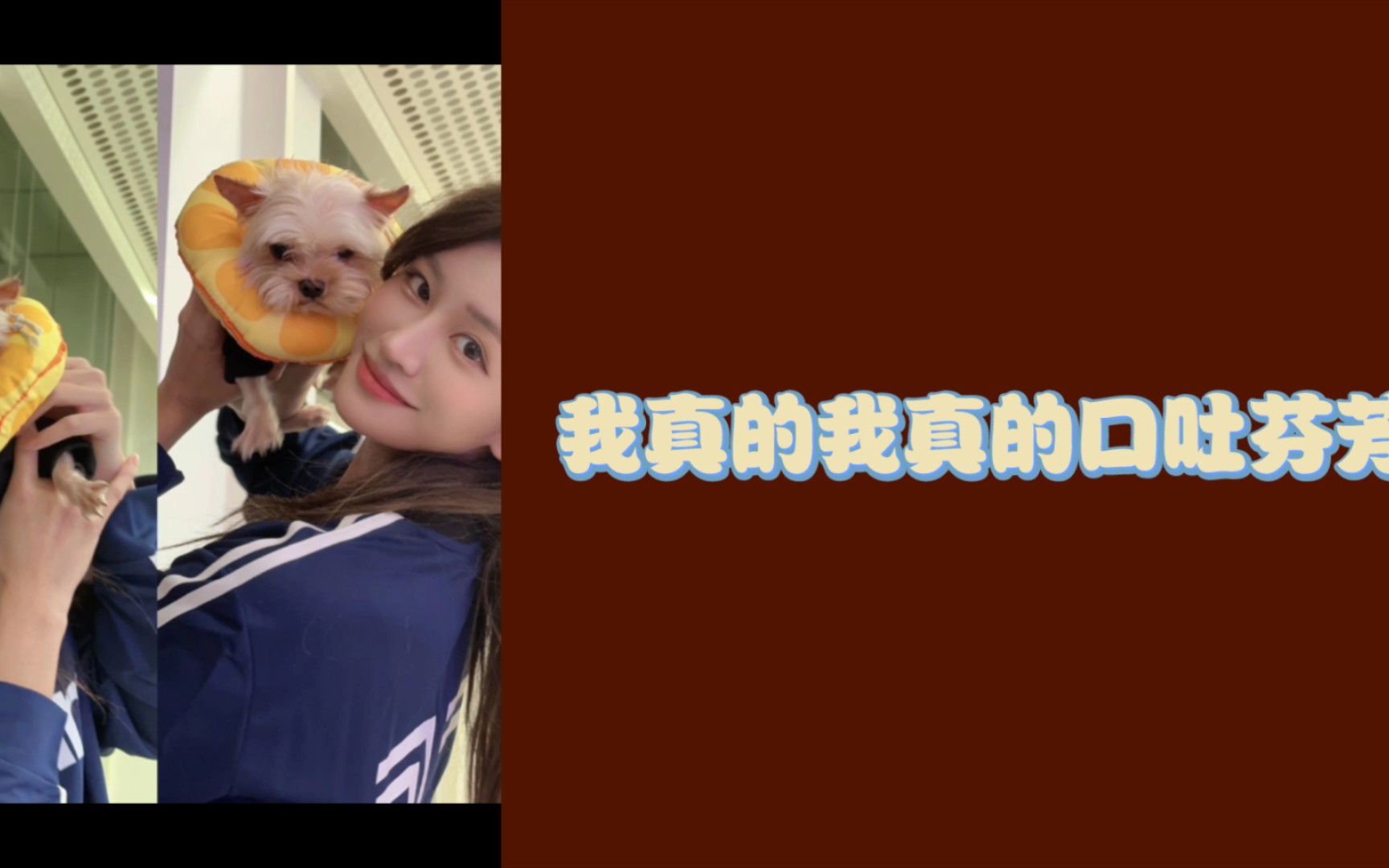 电报员口吐芬芳_一开口就是老电报员