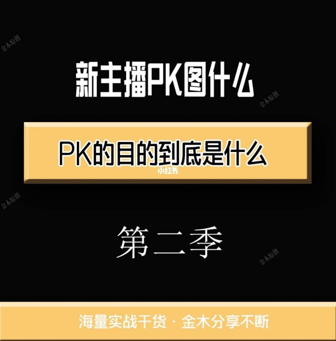 pk是什么东西_pk到底是什么意思