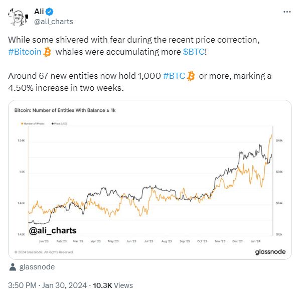 比特币行情最新价格表_比特币行情最新价格分析