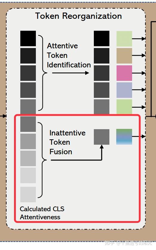 token动词_token短语搭配