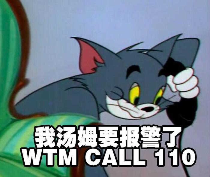 token盗用_tokenpocket被盗