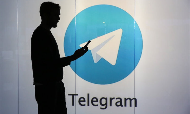 关于telegraphreported的信息