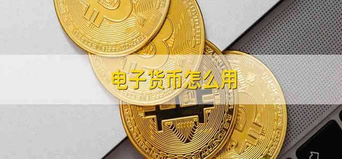 储值卡型电子货币有哪些_储值卡型电子货币有哪些特点