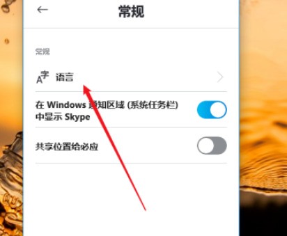 skype网页无法打开_skype怎么打不开怎么回事