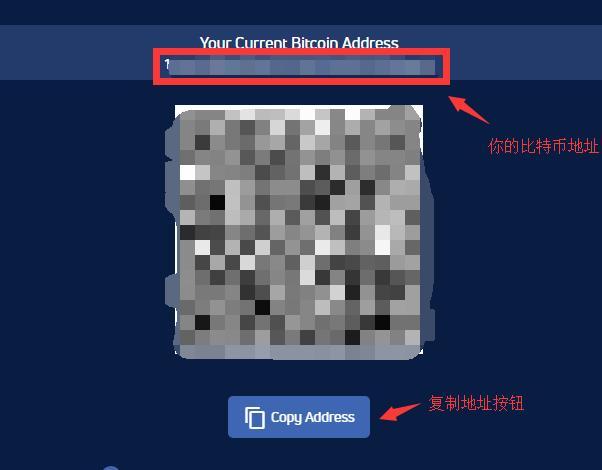 虚拟币钱包地址是什么_虚拟币钱包地址怎么获取