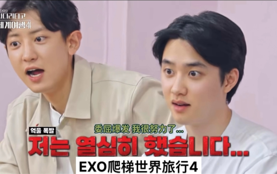 爬梯子的旅行exo第四季_exo的爬梯子旅行韩剧tv