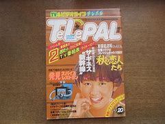 telepal中文版_palettefm中文网址