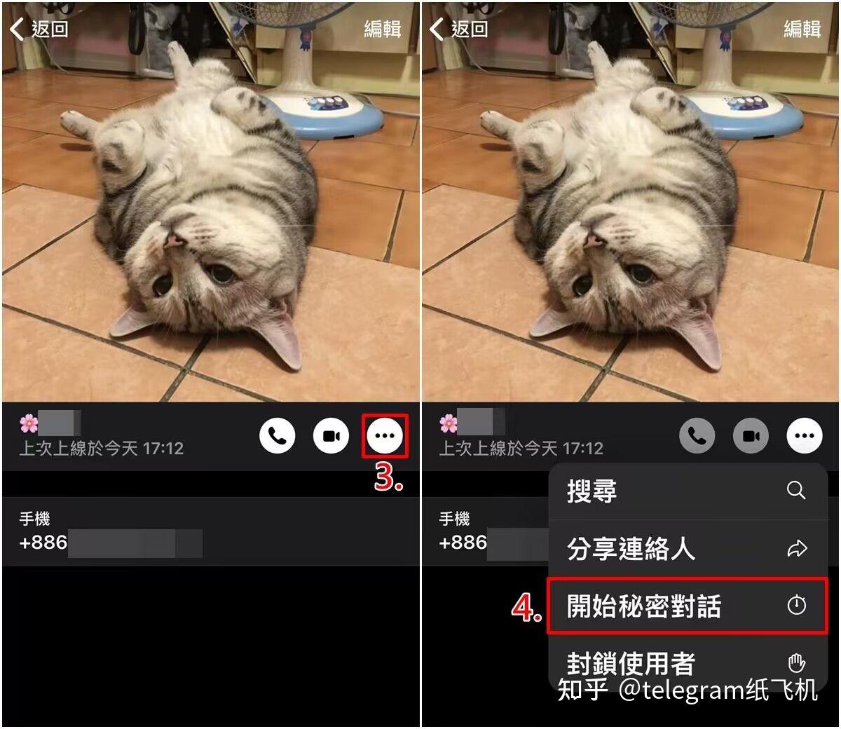 telegreat怎么添加好友_telegram可以看到好友访问吗