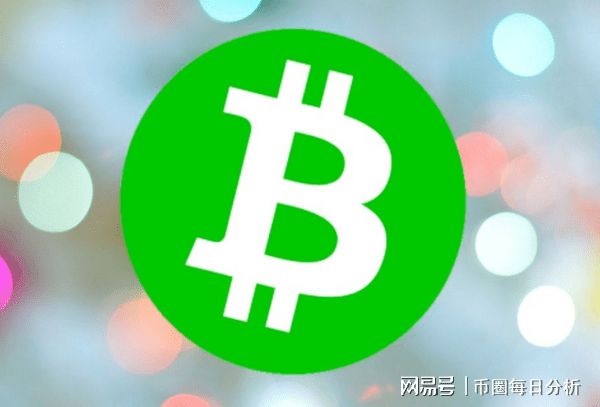bch钱包下载_bsc钱包下载地址