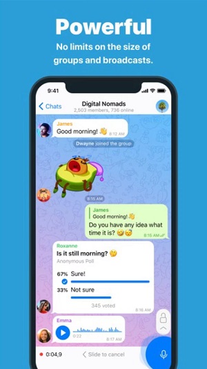 关于Telegram纸飞机国际版的信息