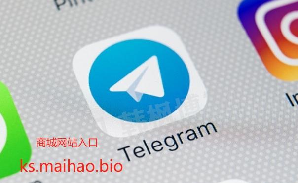 telegram邮箱登录入口_telegeram官网入口电脑版