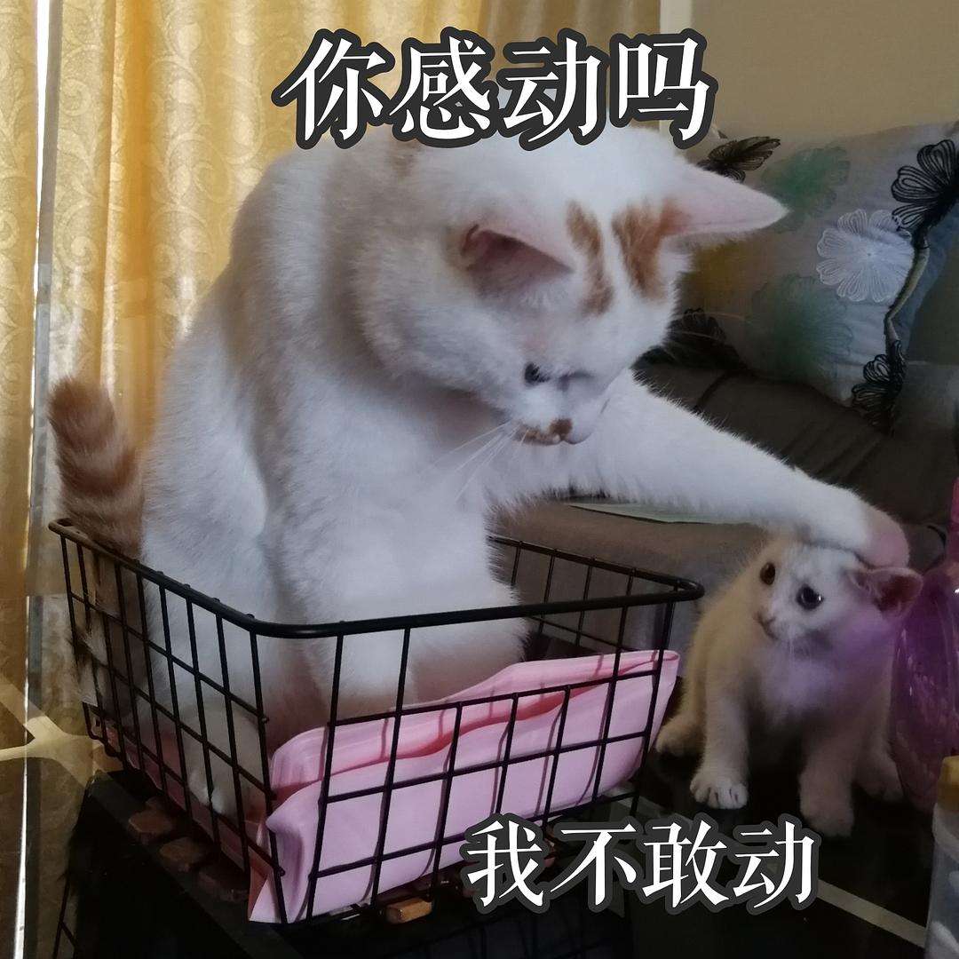 biubiu_biubiu加速器下载安装免费