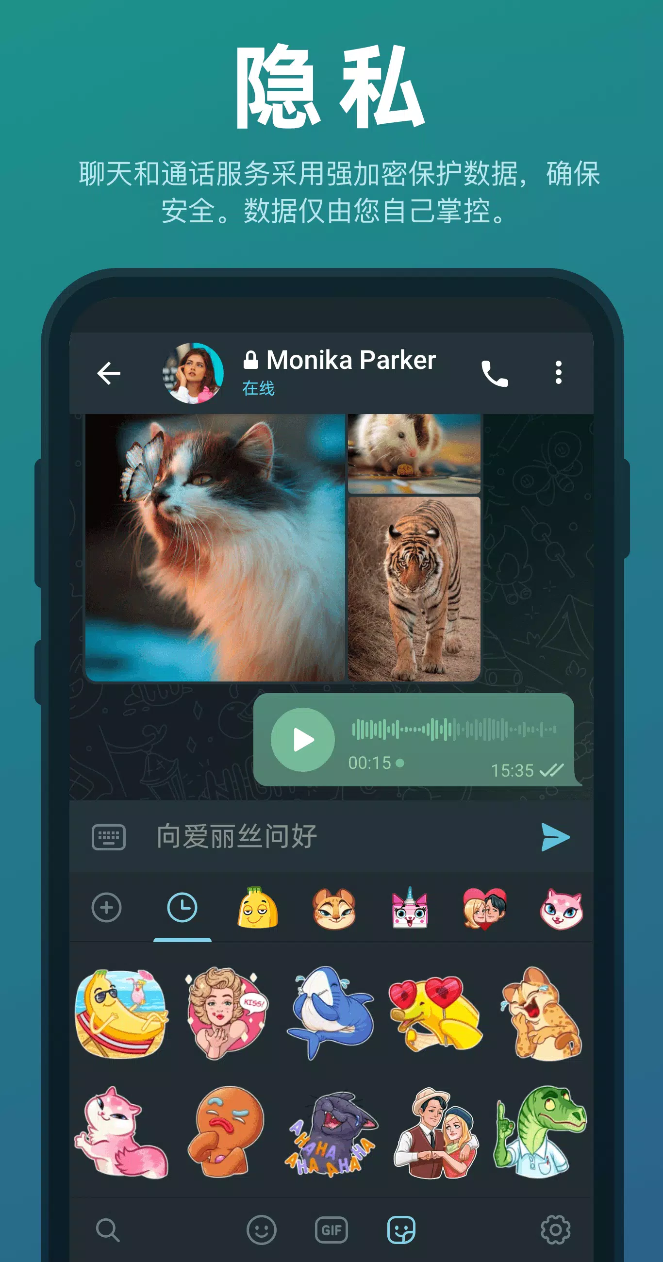 怎么把telegram改成汉语_telegreat简体中文语言包