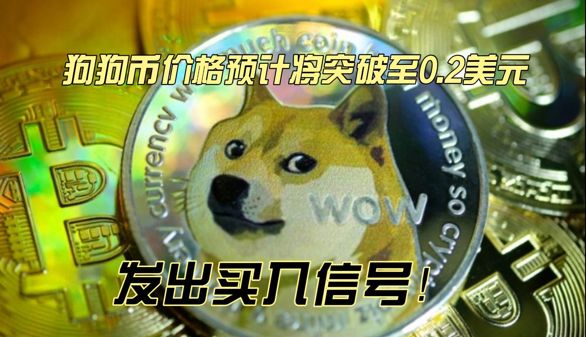 狗狗币价格_狗狗币价格今日行情分析