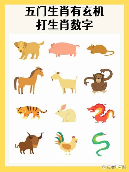半条打最佳生肖和数字的简单介绍