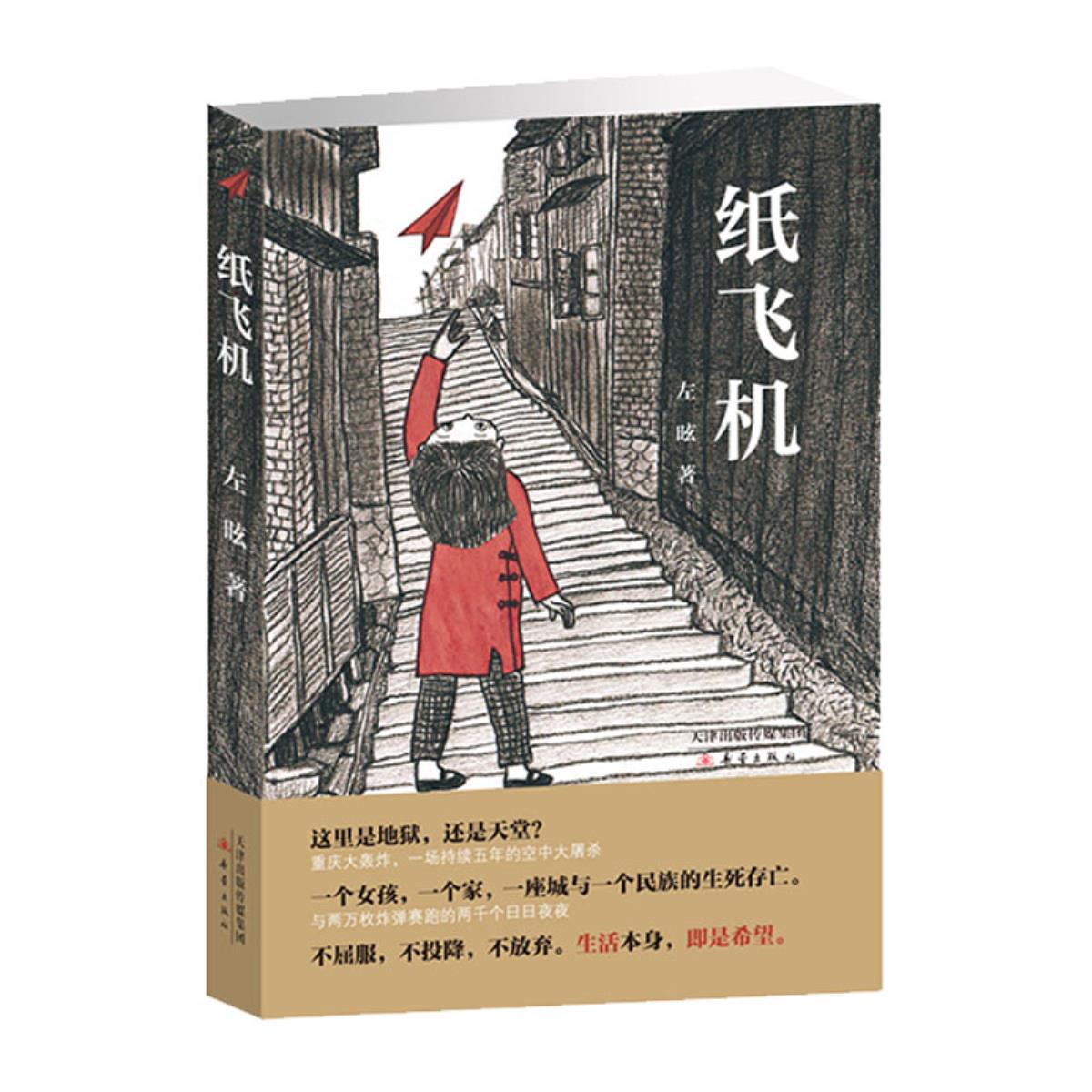 纸飞机小说讲的什么_纸飞机小说讲的什么?