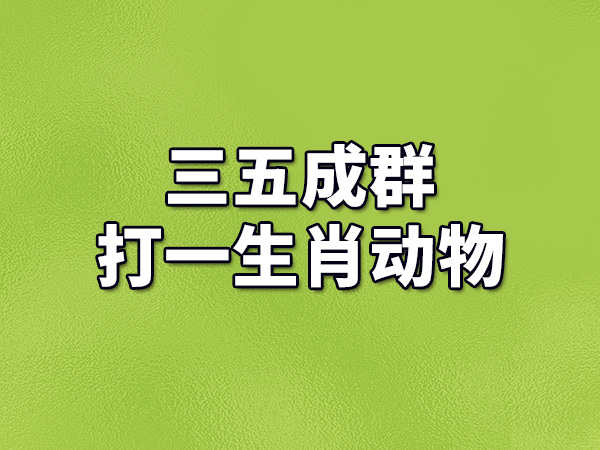 六字玄机打一准确动物_六字打一数字是什么动物