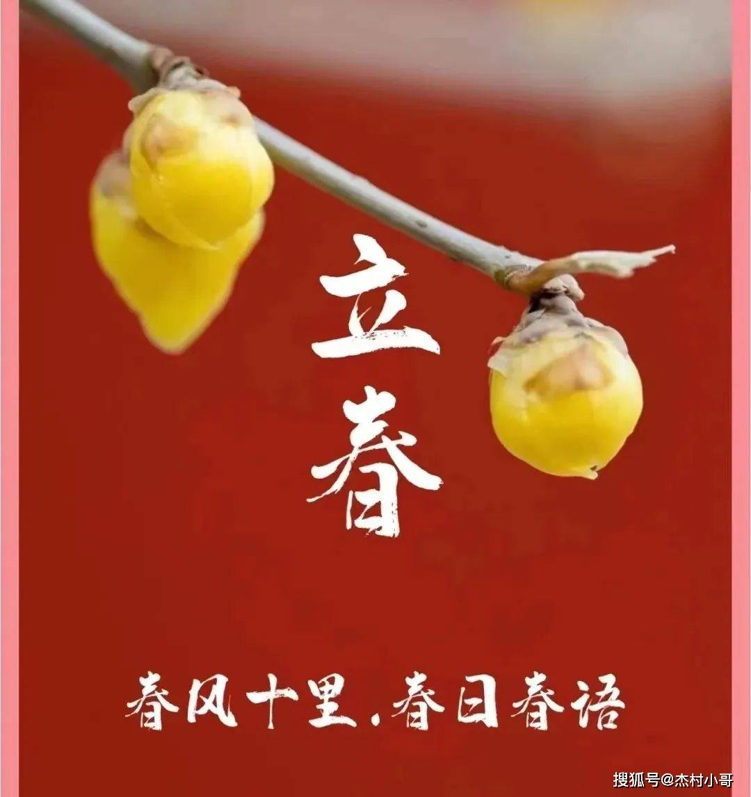 立春打一最准确动物_立春打一生肖是什么动物