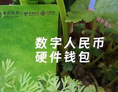 包含tp钱包客服能找到被盗的u吗的词条